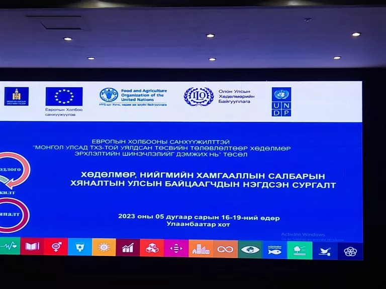 Хөдөлмөр, нийгмийн хамгааллын Салбарын хяналтын улсын байцаагчдын нэгдсэн сургалт зохион байгуулагдаж байна