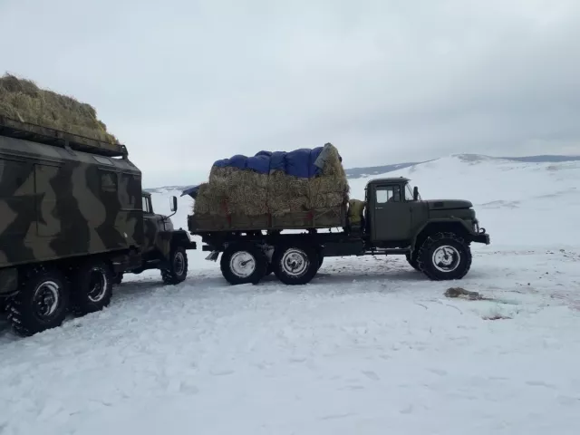Хилийн цэргүүд малчдад тусалж байна