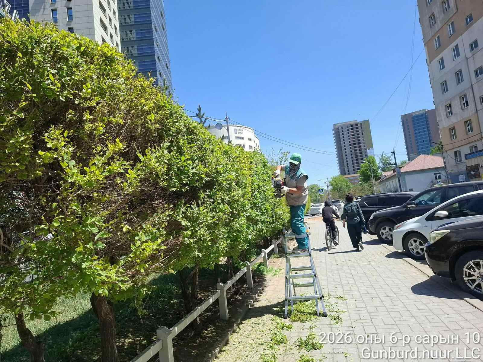 Баянгол дүүрэгт нийтийн эзэмшлийн 9.3 га талбайд зүлэг тарьж, ногоон байгууламжийг нэмэгдүүлж байна